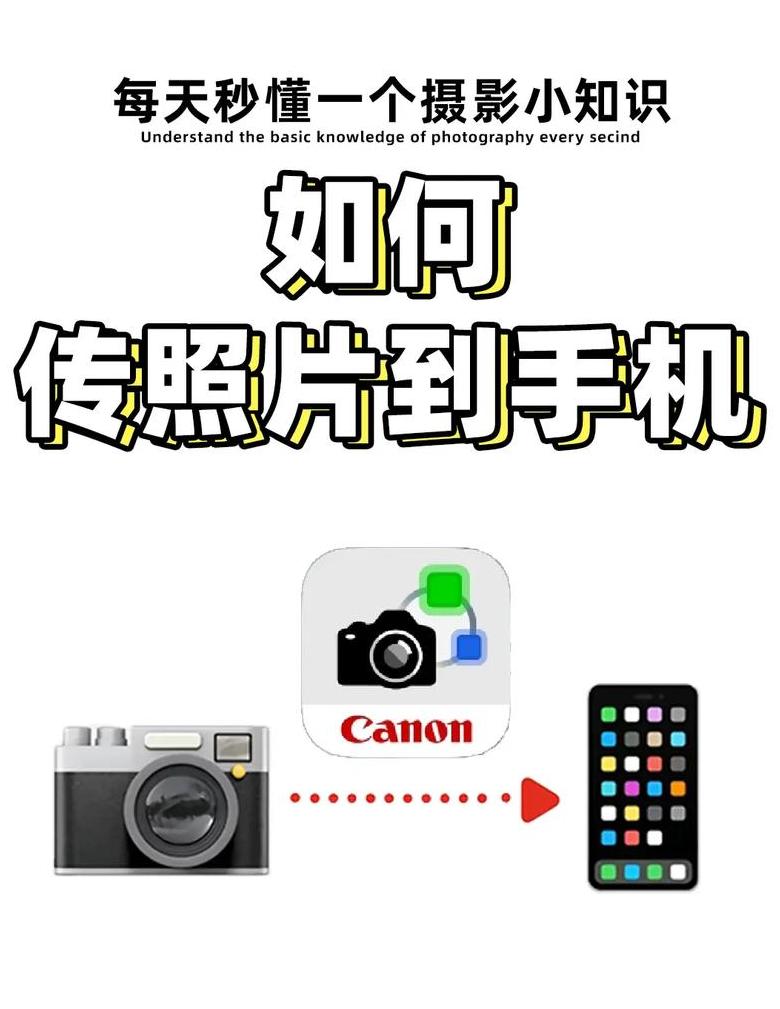 Word文档批量导入图片技巧汇总