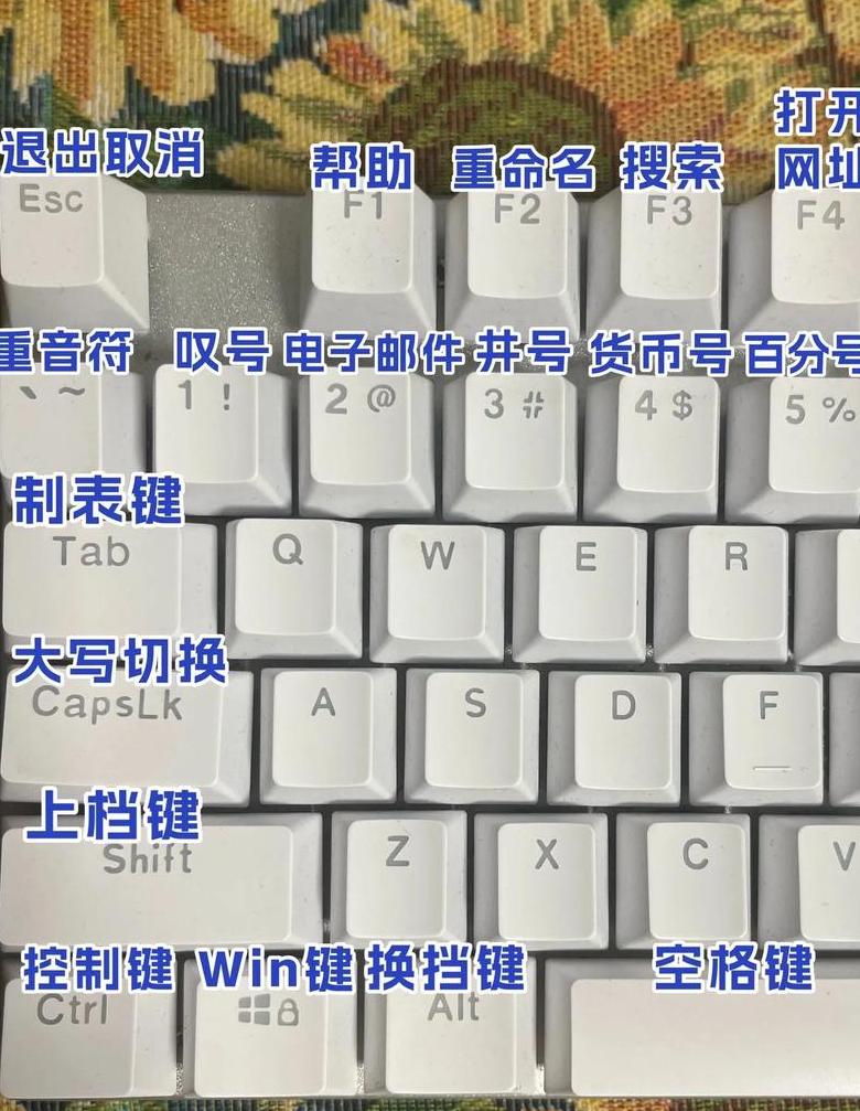 Win10系统升级后键盘失灵？速看解决攻略！