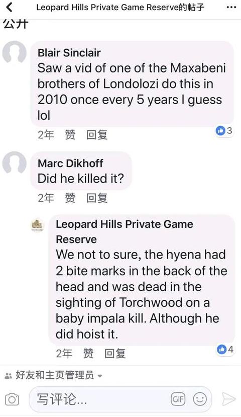 手机屏幕上有灰色斑块怎么办