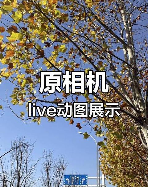 苹果原相机怎么调回实况
