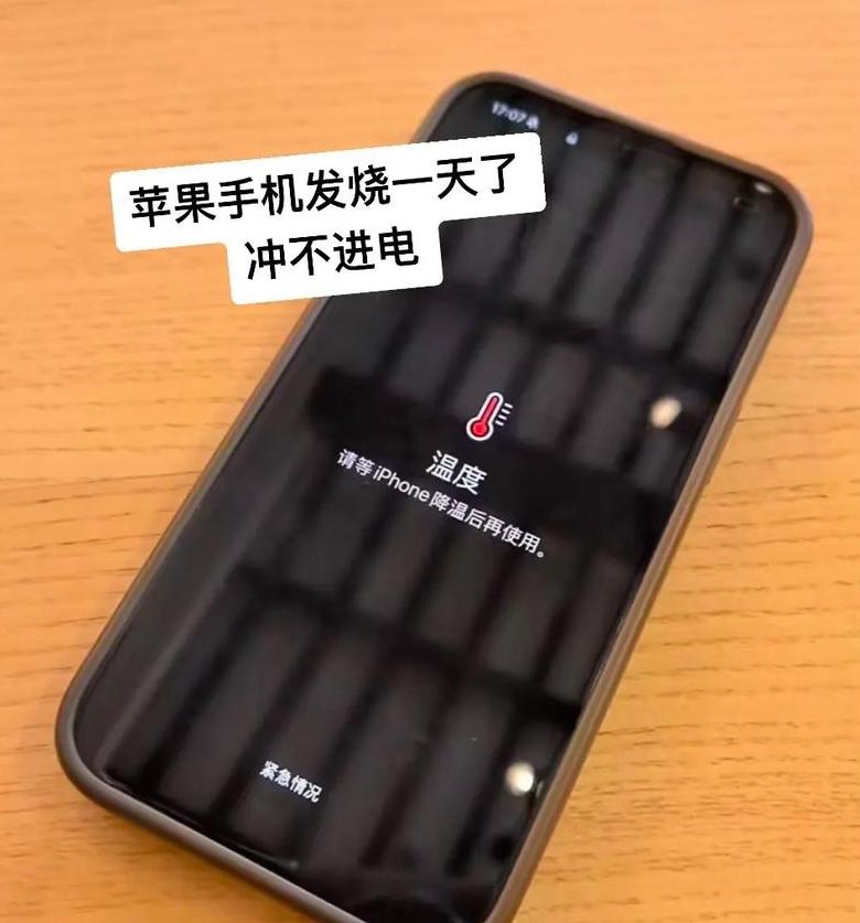 手机关机了充不进电开不了机