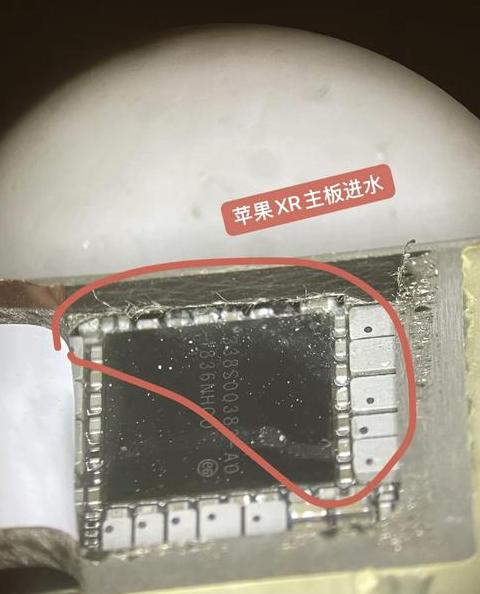 手机进水里面东西还能导出来吗