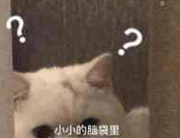 小米11u声音嘶哑