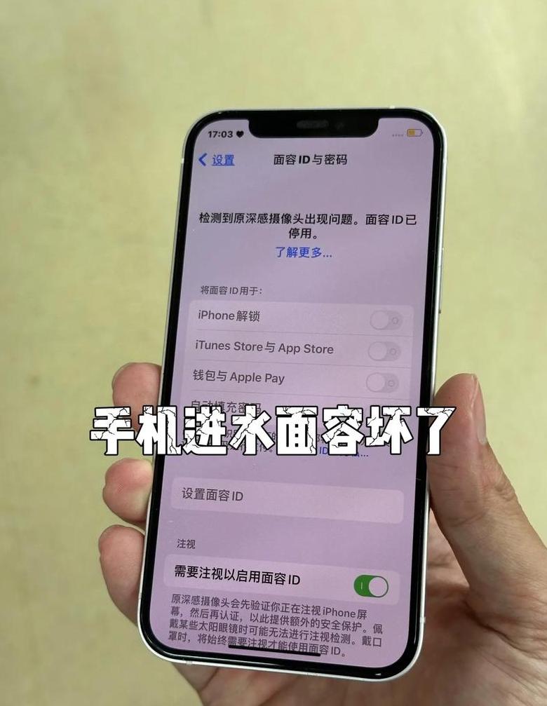苹果手机掉水里能修好的吗