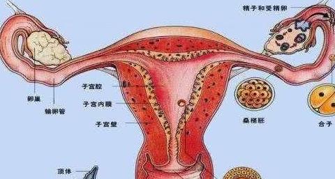 路由器WAN口指示灯不亮排查指南