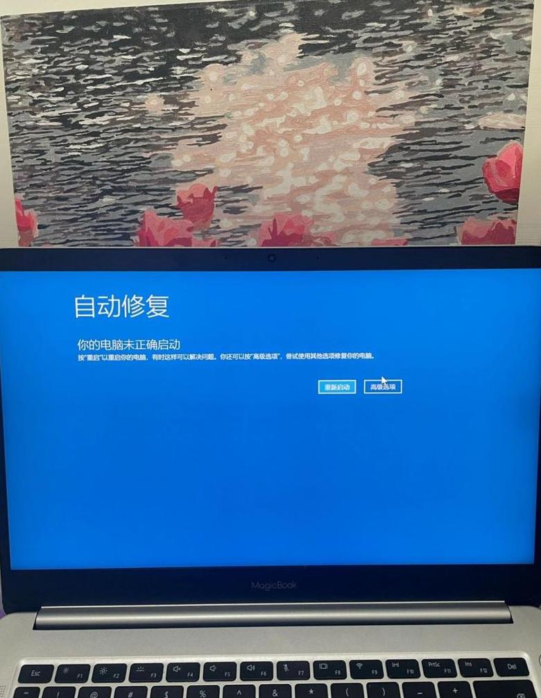 dell电脑无法开机(dell电脑无法开机怎么解决)