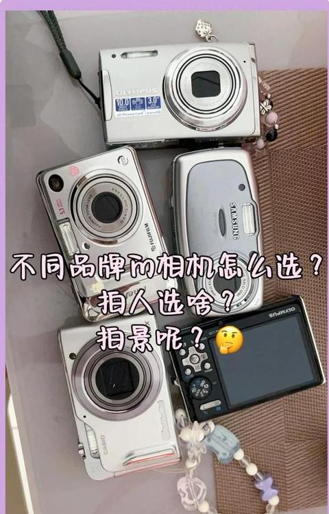 数码相机对比手机拍照