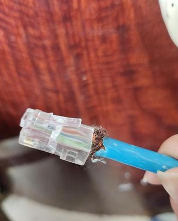 手机网线连接上网指南