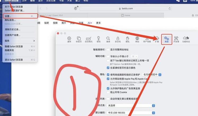 电脑浏览器缓存清理全攻略，不同浏览器一步到位