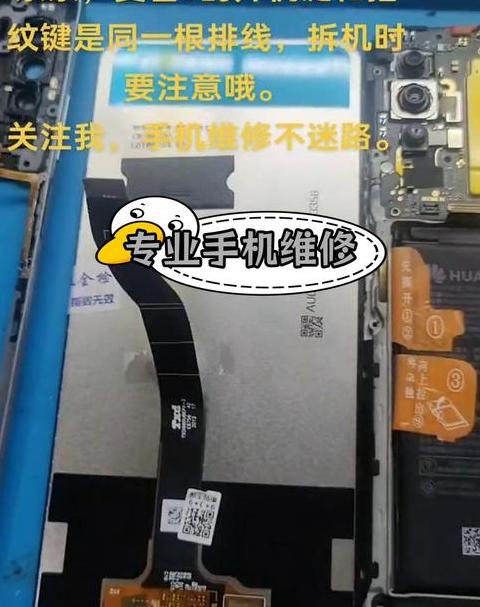 手机屏幕脱落充电怎么办？修复指南与安全提示