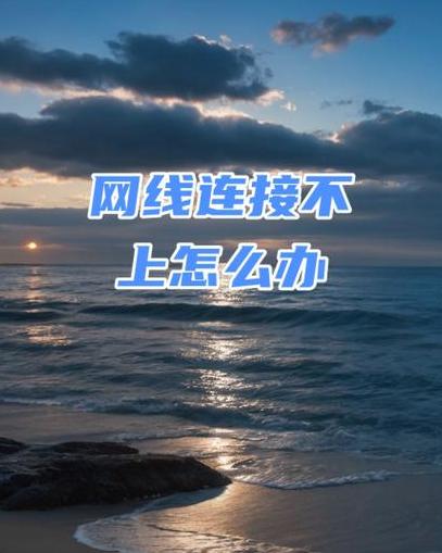 电脑连了网线却显示未连接