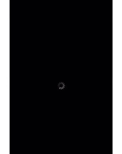 苹果手机连接wifi后没网络
