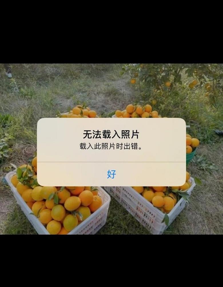 手机照片上传电脑模糊原因解析