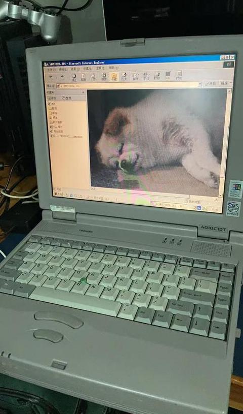 东芝笔记本进入bios按什么键
