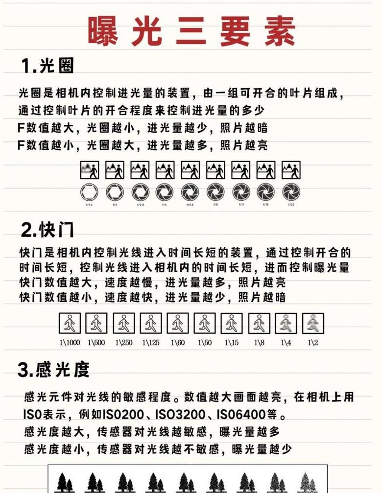 iPhone16ProvsProMax：全面对比解析