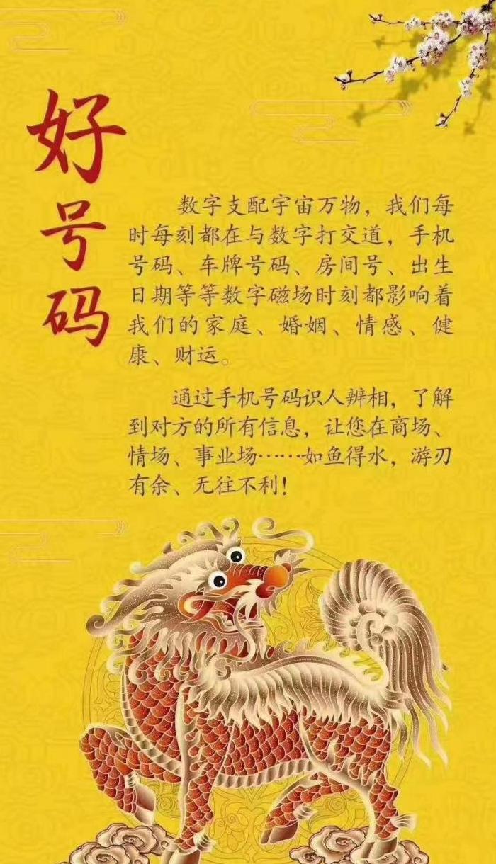查看手机连接的wifi秘密