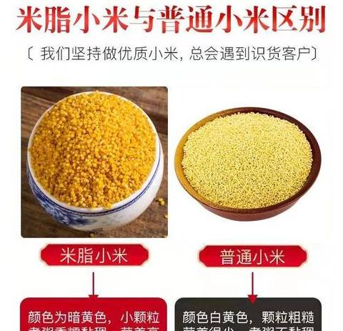 小米SU7Pro与Max：性能对比解析