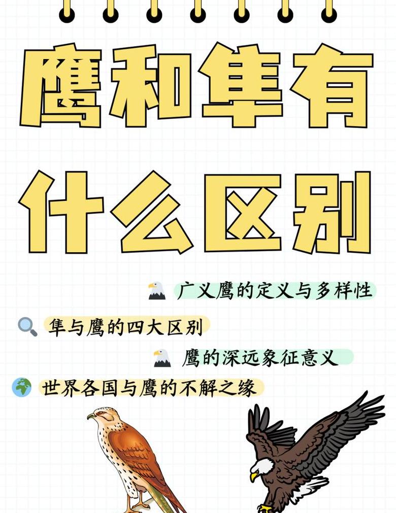 15pro和15pro max的区别
