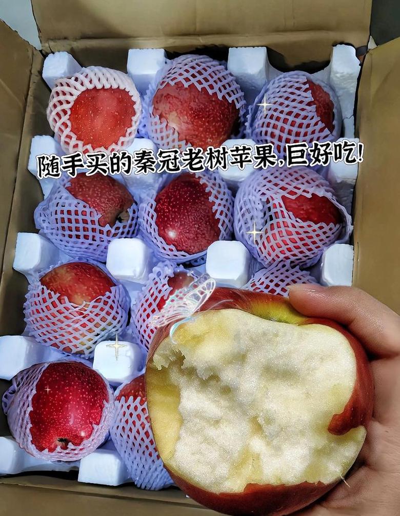 苹果iphone 5
