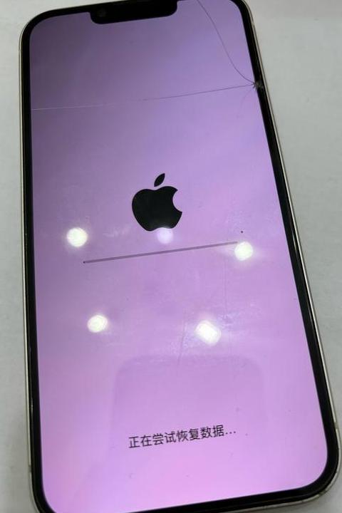 苹果手机显示苹果标志无法开机？解决办法在这里！