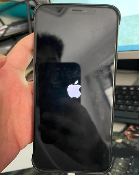 苹果开机只显示苹果标志怎么办？