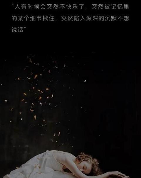 手机突然拍不了照了