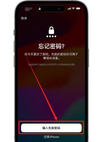 怎么在手机上看到自己的wifi密码