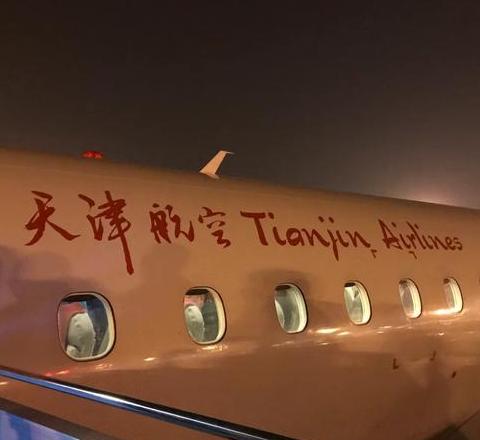 飞机托运行李箱可以托运电脑吗